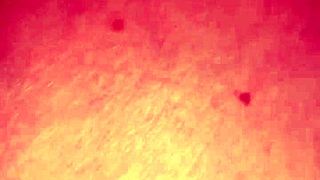 mature asian lady meets a bbc. she bends over for wild doggystyle action.