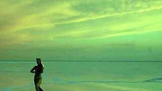 Look at that pink sky and white salt dancing.