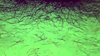 Tight young 18+ milf pussy filled with cum first time being recorded