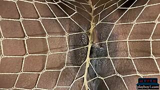 misty stone's intense solo pleasure with toys in lingerie