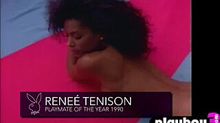 Brunette model hope dworaczyk displays amazing big boobs in hot lingerie