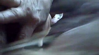 i love deepthroating this big cock as a milf