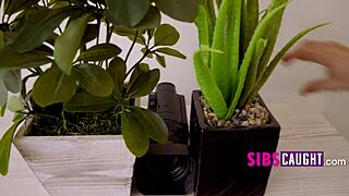 Caught Stepsis Using Stepmom's Dildo in Rough POV Sex