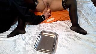 Sensitive areas for intense pleasure that have been stimulated electrically