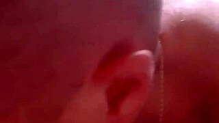 Seventh Installment In The Collection