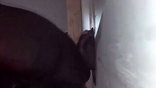 Hood milfs showing off ass in Texas