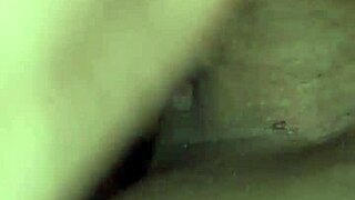 cheating wife gets it from ex everywhere