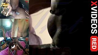 Dallas curvy ebony milf proudly showing her curvy assets