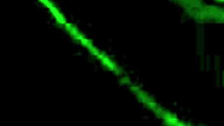 my milf neighbor shares intimate moments