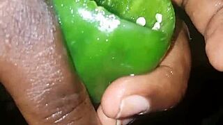 Plantain Versus Poivron: Wetting And Cumming