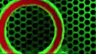 The Samantha Rone Experience