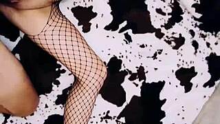 A wife in an erotic fishnet bodysuit beautifully spreads her legs