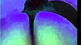 Pijamada Con Mi Amiga En Mini Shorts Negros