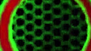 迈尔斯·朗与西兹·塞夫享受双重口交热辣动作