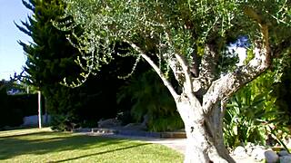 brunette slutty riding big cock?