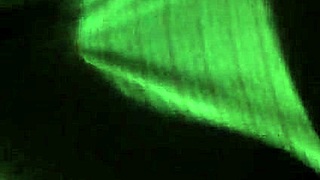 Feeling the passion in bj and finger session