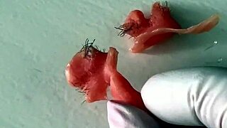 hey, just watched this weird armpit and nose waxing video