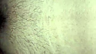 having passionate sex with my beautiful indian bhabhi at home.