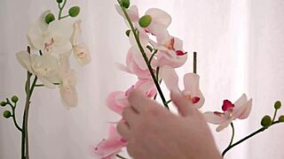 Anal Creampie With Neighbor After Shower