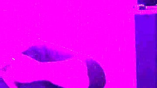 Wife delivers a naughty, teasing blowjob
