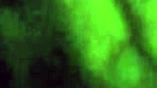 Does This Blowjob Twerking Tease You?