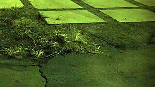 户外BDSM支配，熟女和少女