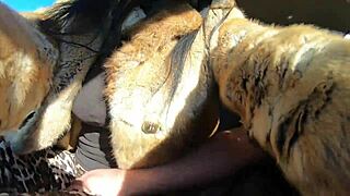 cheating wife shopping preview