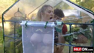 big ass blondie jenna starr with amazing tits banged in garden