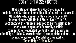 Tasha Reign In Lingerie With Big Pussy