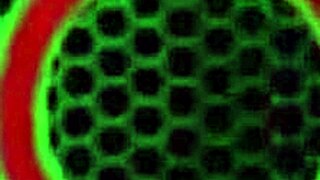 Hot cougar sara jay pounds dildo hard in steamy shower post intense workout