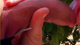 wife says, 'watch me blow him outdoors'