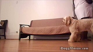 Pizza man delivers bareback creampie to big butt cougar milf