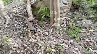 Dirty Old Man Bangs Busty Stepdaughter in Jungle