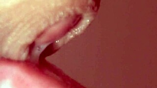 Young Stepmom Gives Close-Up Blowjob To Her Stepson