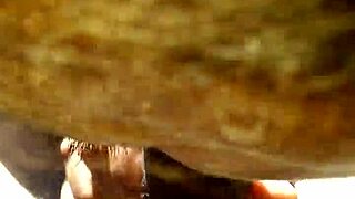 i give a blowjob in the car