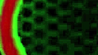 Richelle Ryan Gets Jizzed Rome Major Fucks Big Ass Milf