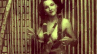 dark lantern presents sins of step mothers