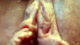 Good morning to all fans