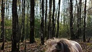 bound slave whore licked outdoor in bdsm session