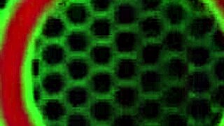 Rasta Style Milf Sara Jay Rides Biggest Dildo On Bed Wet Pussy Orgasm