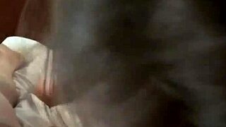 monika fox sucked dick and swallow all cum free