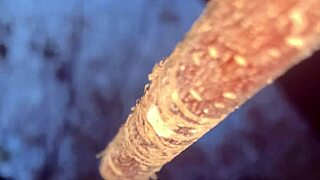 Imagine having intense outdoor sex with a cute witch deep in the forest