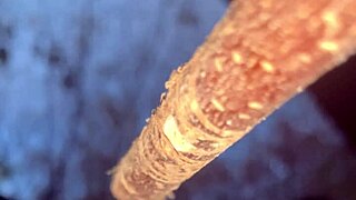 Imagine having intense outdoor sex with a cute witch deep in the forest