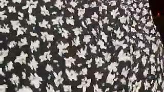 slap this big ass on amateur milf homemade pov with latina stepmom vibes