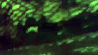 Milf hot very hot, wanna suck this cougar pussy?