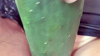 Estava com tanto calor que abri as pernas sem calcinha e peguei o pepino molhadinho pra roçar na minha buceta depilada grande... uma delícia de massagem e masturbação madura!