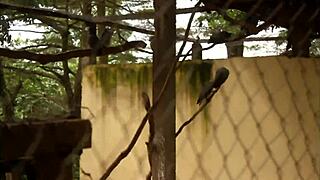 Tourist fucks blonde milf in public park during african cup of nations in yaoundé with rough pov action