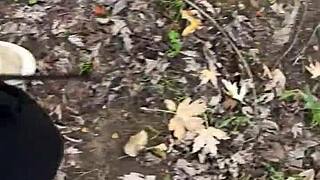 Nice Ride With Curvy Latina In First Time Fetish Scene