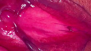 oh man, like this amateur pink pussy after 275 days since losing virginity, wet and shaved from homemade couple licking