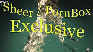 Would Lisa Ann's Fake Tits and Pierced Nipples Tempt You for a Facial Cumshot?